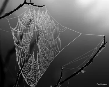Spooky, spooky
